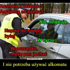 Kontrola trzeźwości w domu: Kiedy policja może użyć alkomatu?