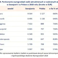 Kierowca w Szwajcarii: zarobki C+E, koszty życia. Czy warto?
